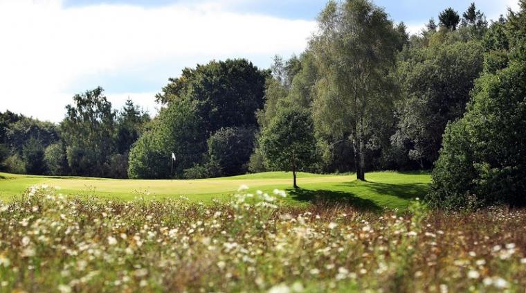 Gjern golfbane